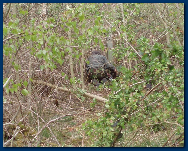 600x477 pixels (208K)